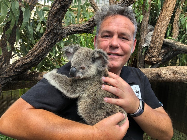 Darren Grover, an official with the World Wide Fund for Nature-Australia enjoys a cuddle with Maryanne as the koala continues her recovery.