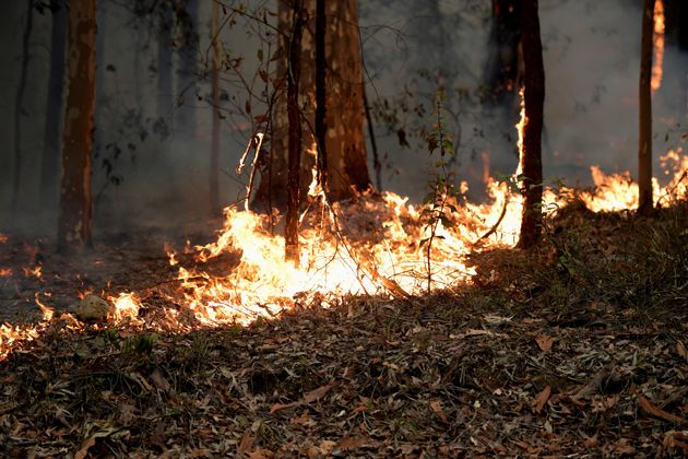Australian Bushfires Contributing To Pushing Worlds CO2 Levels To New Highs