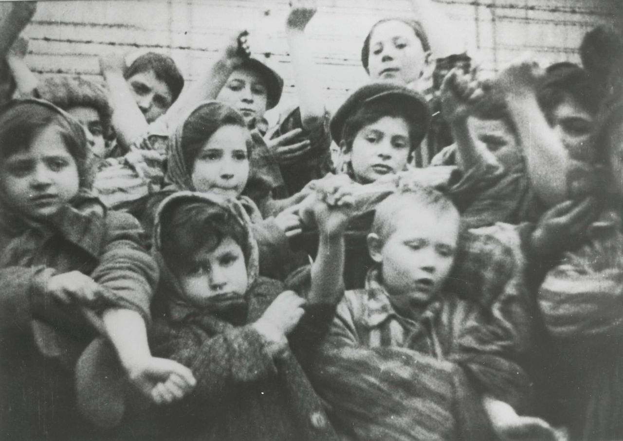 The children in the Auschwitz-Birkenau concentration camp in showing their tattooed numbers on their arms after liberation 