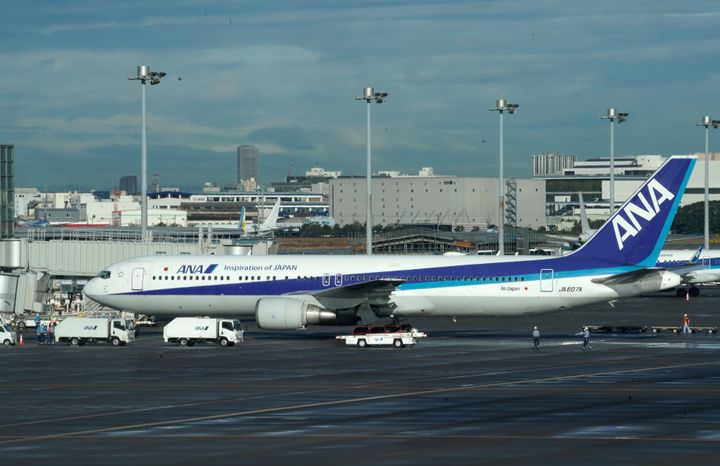 中国・武漢から羽田空港に到着したチャーター機（1月29日撮影）