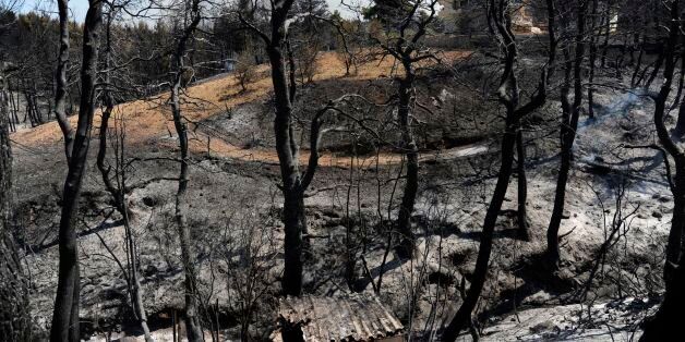A picture taken on August 14, 2017 shows a burned area after a wildfire near the village of Kalamos, about 45 kilometres (28 miles) east of the Greek capital Athens. A large wildfire was raging on the coastal front of Athens, officials said, with summer homes under threat and a local village evacuated. A force of more than 200 firefighters with over 100 fire engines, water trucks and a handful of aircraft had been mobilised, the fire department said. / AFP PHOTO / Michalis KARAGIANNIS (Ph