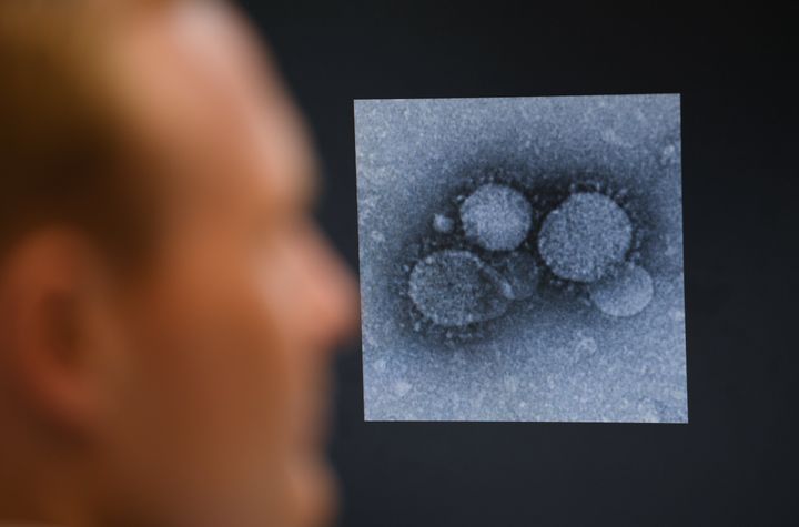 Le virologue Sandro Halbe regarde une image au microscope électronique d'un coronavirus MERS, un proche parent du nouveau coronavirus, sur un écran d'ordinateur à l'Université Philipps de Marburg.