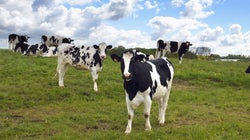 Ces quatre régions françaises seront les plus exposées au