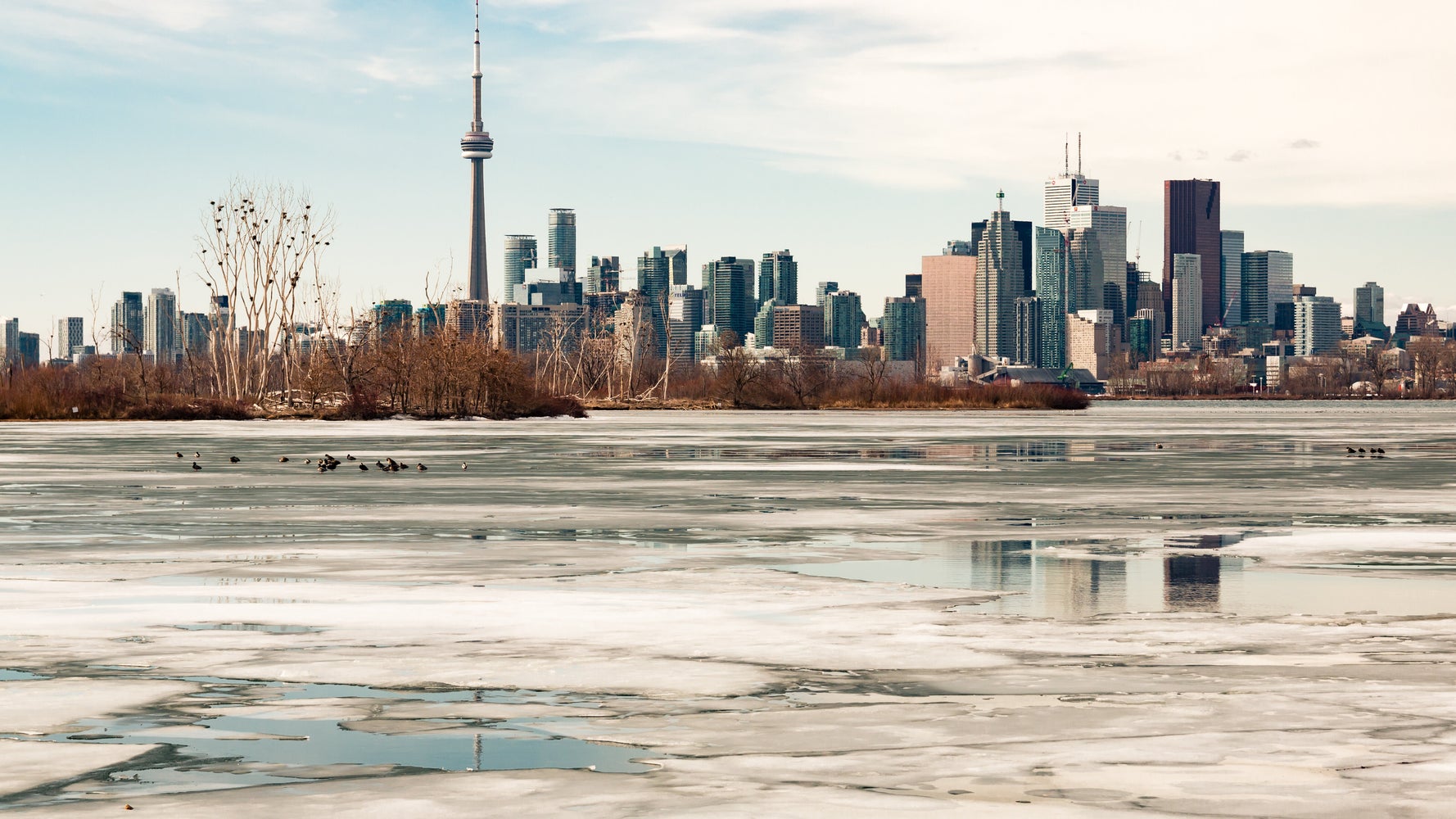 Toronto Among World's Top Cities To Feel Climate Change The Hardest