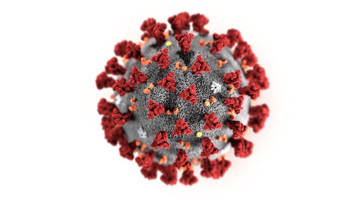 This illustration provided by the Centers for Disease Control and Prevention in January 2020 shows the 2019 Novel Coronavirus (2019-nCoV).