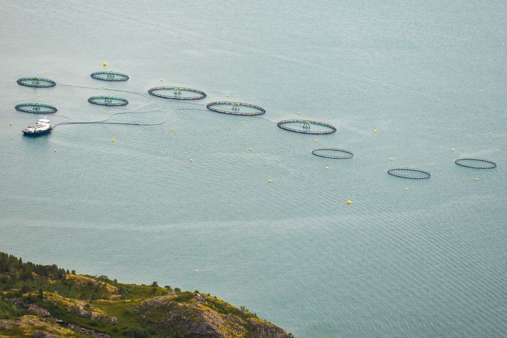 An aerial view of a salmon farm near the islands of Rolla and Andorja in Norway. Norway is the world's biggest exporter of At