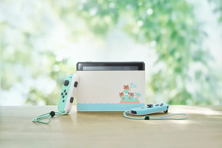 Nintendo Switch あつまれどうぶつの森　同封版