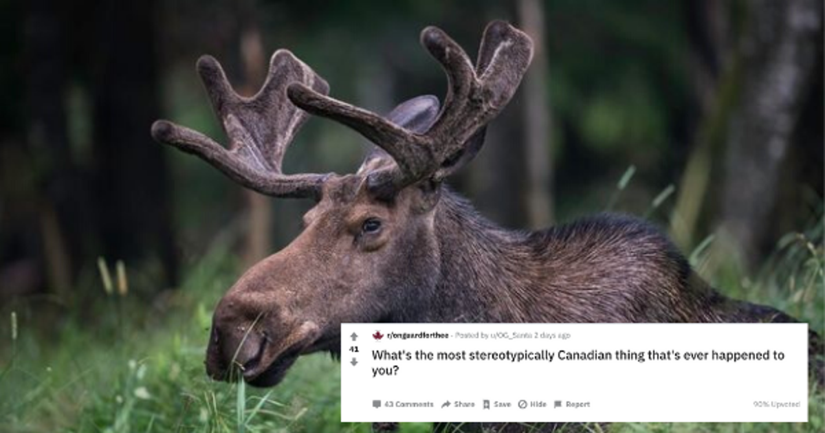 Reddit Users Share Most Stereotypically Canadian Experiences