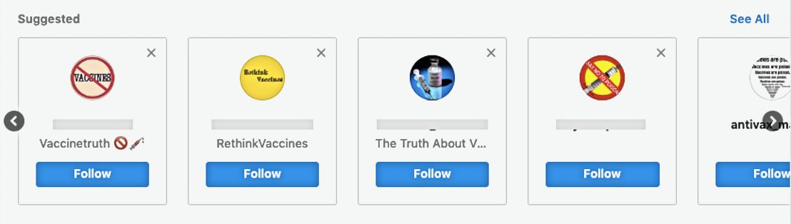 Instagram's algorithm recommended these accounts to HuffPost after we followed a single anti-vax page.