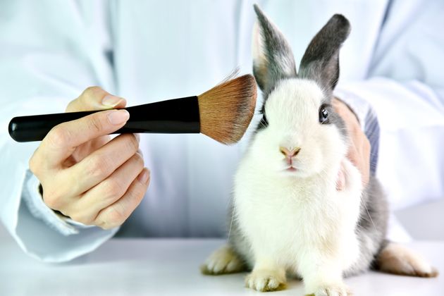 Des États américains bannissent les cosmétiques testés sur des
