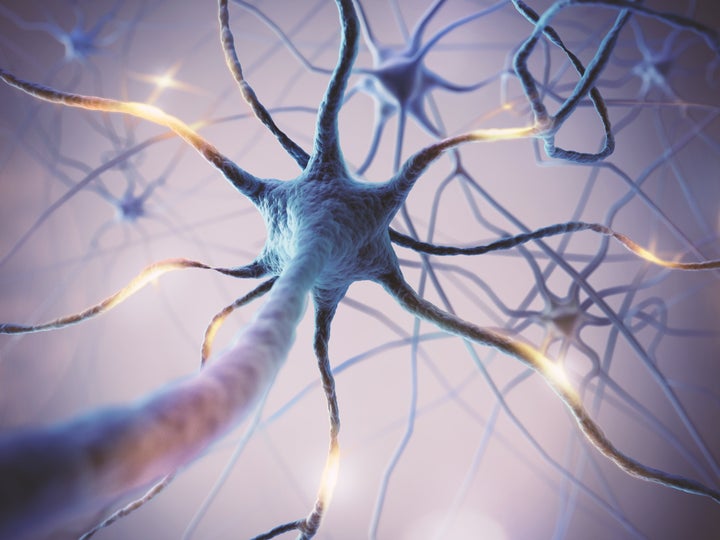 Neuronas. 