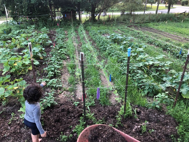 The Community Ecology Institute's climate victory garden in Columbia, Maryland.