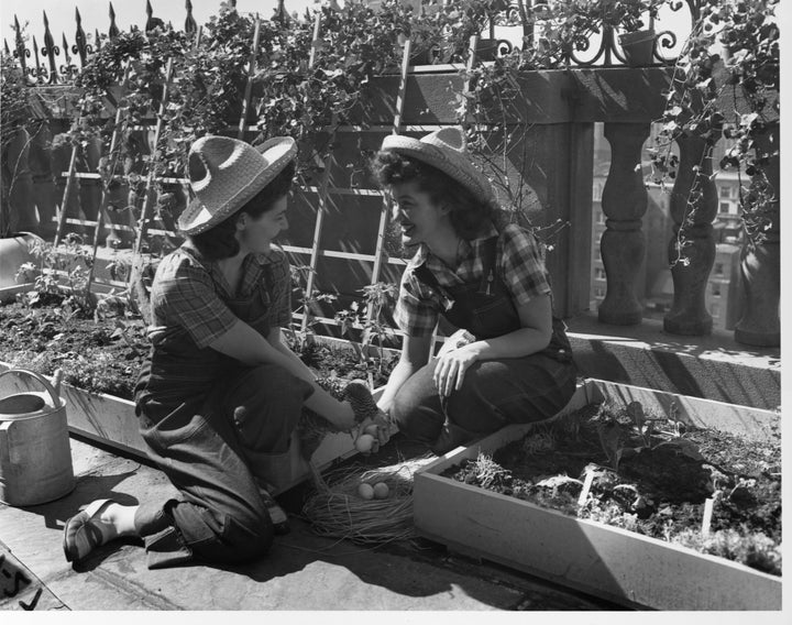 Two women from Mount Holyoke College in Massachusetts tend a World War II victory garden.