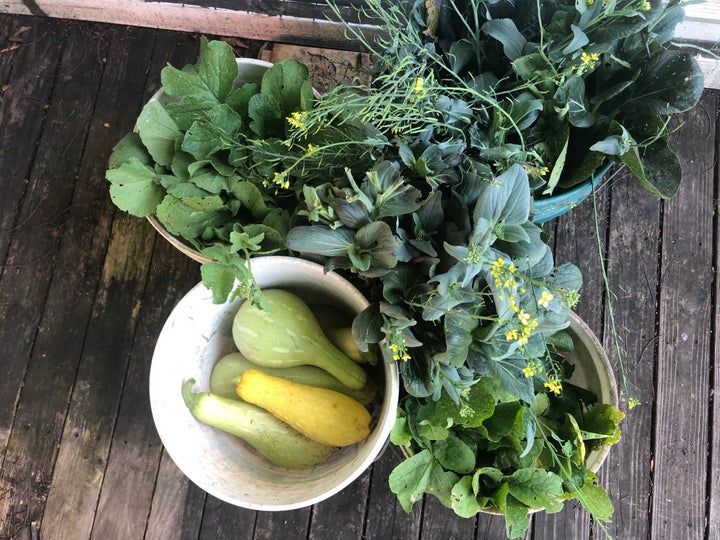 The Community Ecology Institute in Columbia, Maryland, is growing vegetables with the help of high school students to help ta