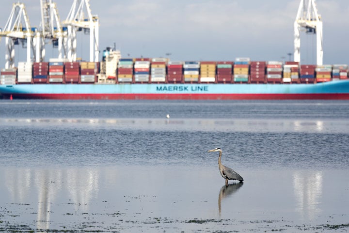 A heron hunts for food as the ship Anna Maersk is docked at Roberts Bank port carrying 69 containers of mostly paper and plastic waste returned by the Philippines in Vancouver on June 29, 2019.