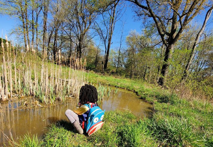 A child sits next to a pond filled with wildlife at BLISS Meadows in Baltimore.