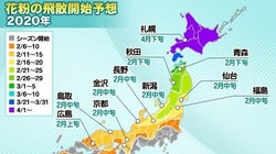花粉シーズン、東京など1都14県が突入。飛散ピークは2月中旬ごろ