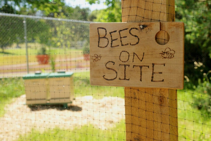 There are dozens of apps where the public can record their bee sightings.