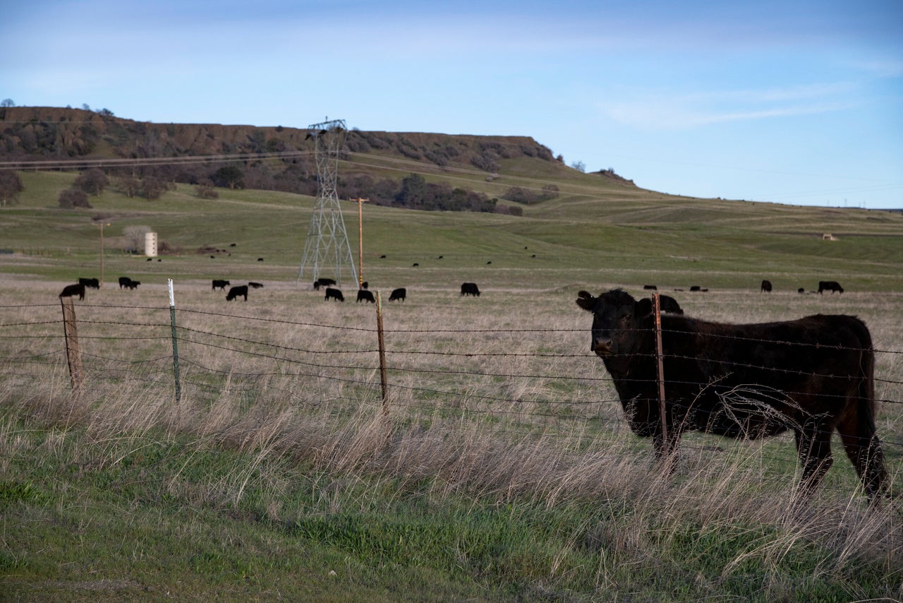 Scenes from Brown's ranch in Butte County. She refers to it as Brown Ranch, but it is also known as Table Mountain Ranch.