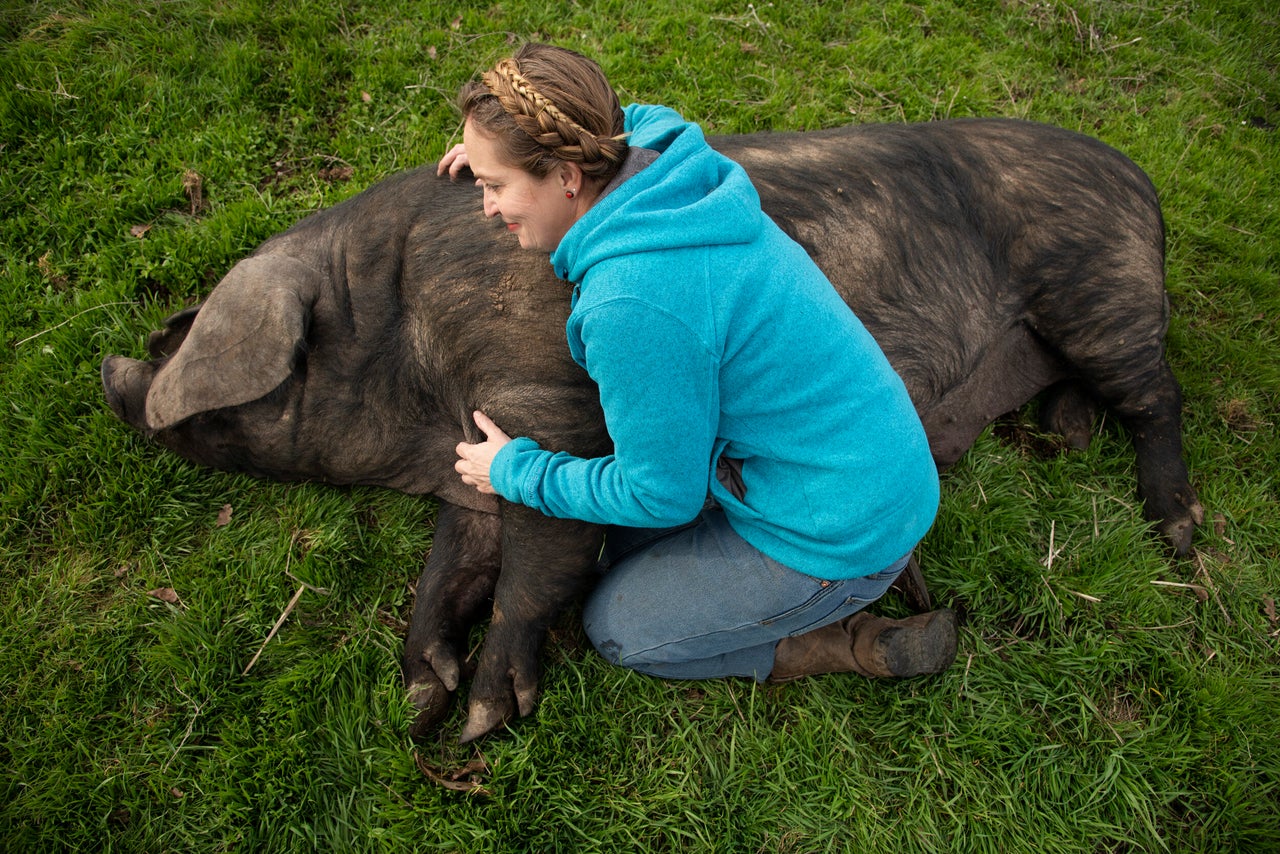 Brown gives one of her pigs a belly rub on her ranch.