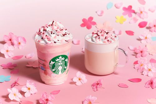 スタバのSAKURAシリーズ、2020年は「ミルクプリン」 2月15日から販売開始 | ハフポスト アートとカルチャー