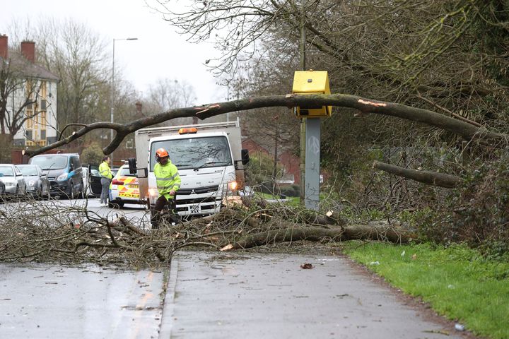 Workmen clear up after tree fell on a speed camera in Tilehurst, England.