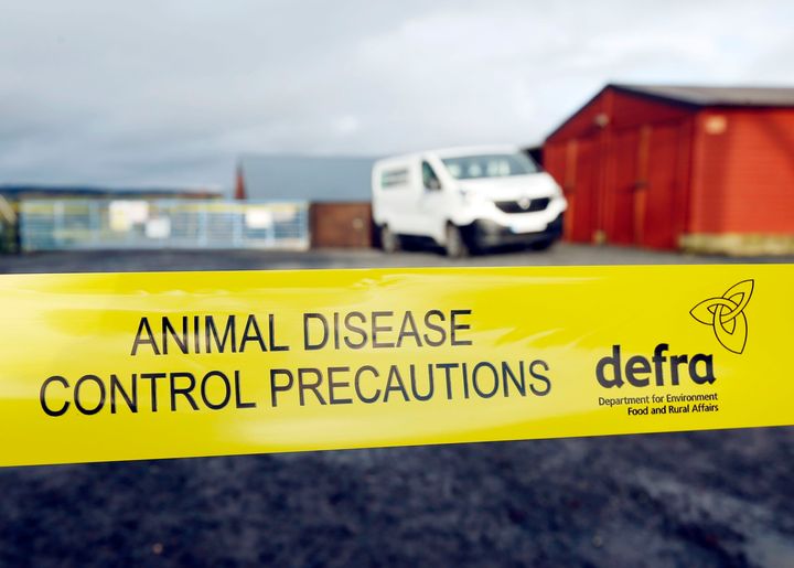 Craigies Poultry Farm near Dunfermline in Scotland, where a suspected case of bird flu has been identified in chickens, the Scottish Government has said