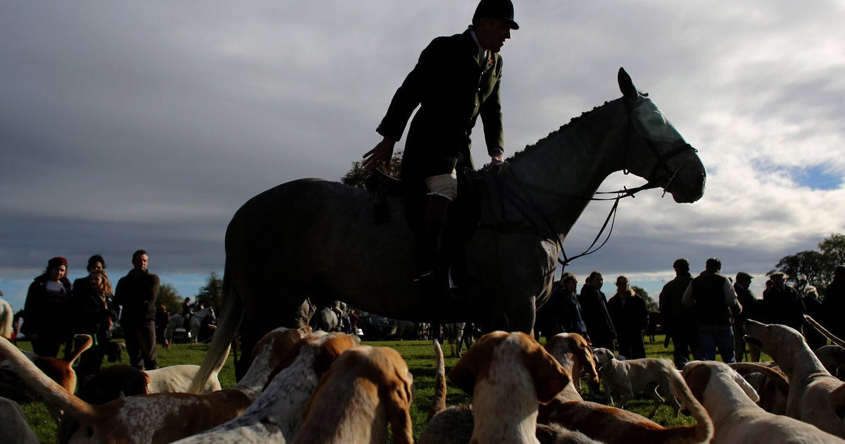 Keep Cruelty History Protect the Hunting Act HuffPost UK Politics