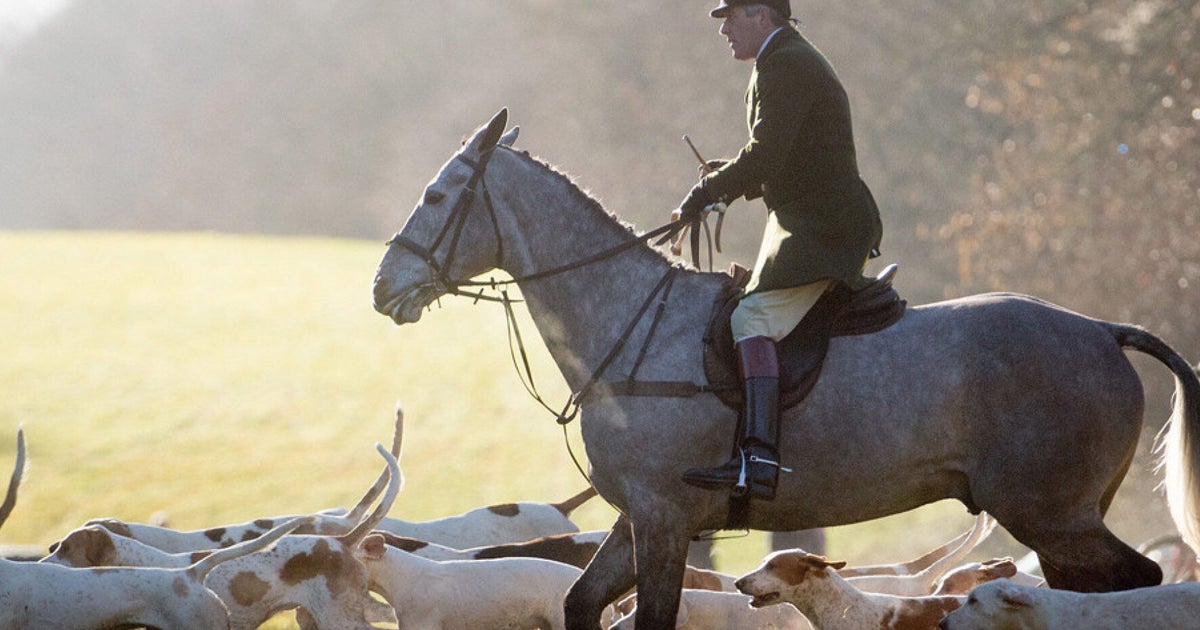 Ten Years Too Long, It's Time to Repeal the Hunting Act HuffPost UK