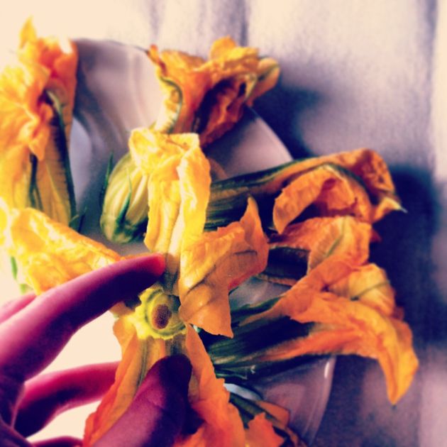 Recipes From Tuscany: Stuffed Italian Courgette Flowers | HuffPost UK