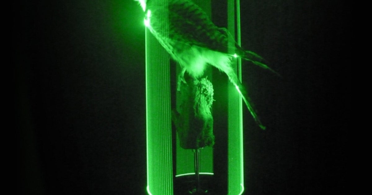 Rave Kestrel: British Tech Artist David Cranmer Invents Home Disco ...