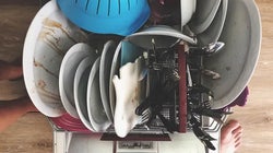 Es muy probable que estés poniendo mal el