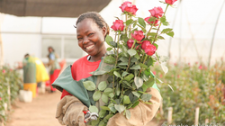 アフリカの美しいバラを日本へ。仕事に情熱を傾けた日々を経て迎えた母としてのステージ