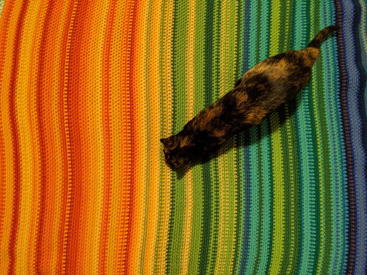 Eryne Croquet's tempestry blanket, made using data from Prince George, B.C. where her son was born. Cat for scale.