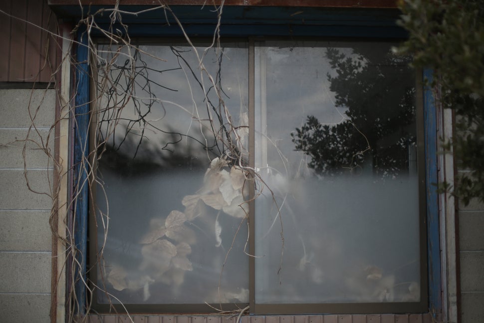 Nature is taking over buildings inside the radiation contamination exclusion zone around the devastated Fukushima Daiichi Nuclear Power Plant in Japan.