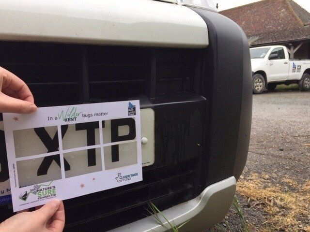 Pour repérer les insectes écrasés, l'ONG Kent Wildlife Trust a installé un "éclaboussomètre" sur les plaques d'immatriculation.