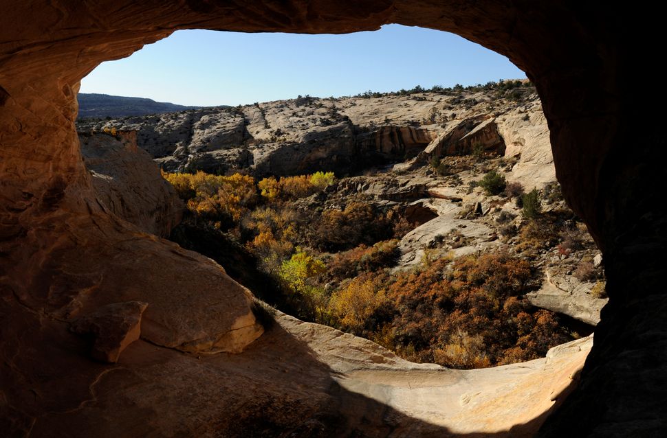 Ruins of ancestral Pueblo cliff dwellings at Butler Wash in Utah's Bears Ears National Monument. President Donald Trump has c