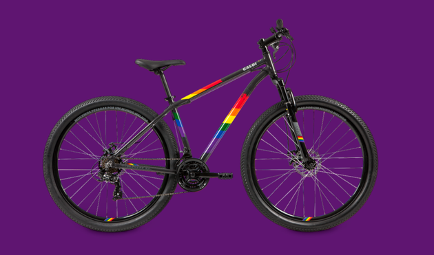 Foto ilustrativa do modelo da