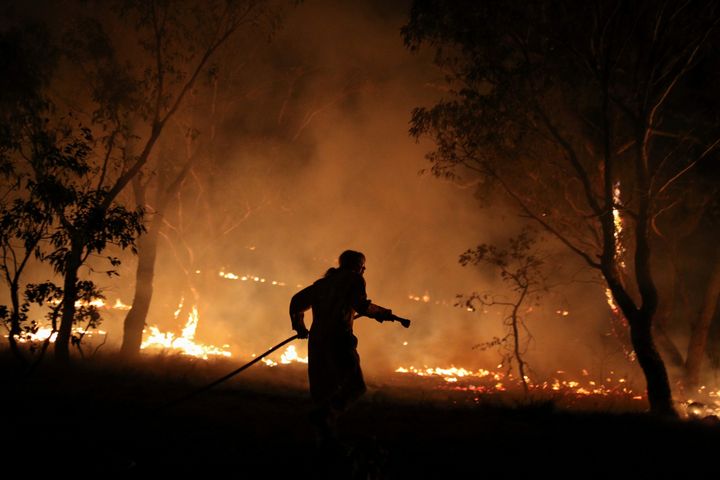 A firefighter from a local brigade works to extinguish flames after a bushfire burnt through the area in Bredbo, New South Wales, Australia, February 2, 2020. 