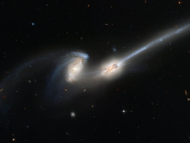 Ζεύγος γαλαξιών (NGC 4676) που είναι χαϊδευτικά γνωστό και ως «Ποντίκι»
