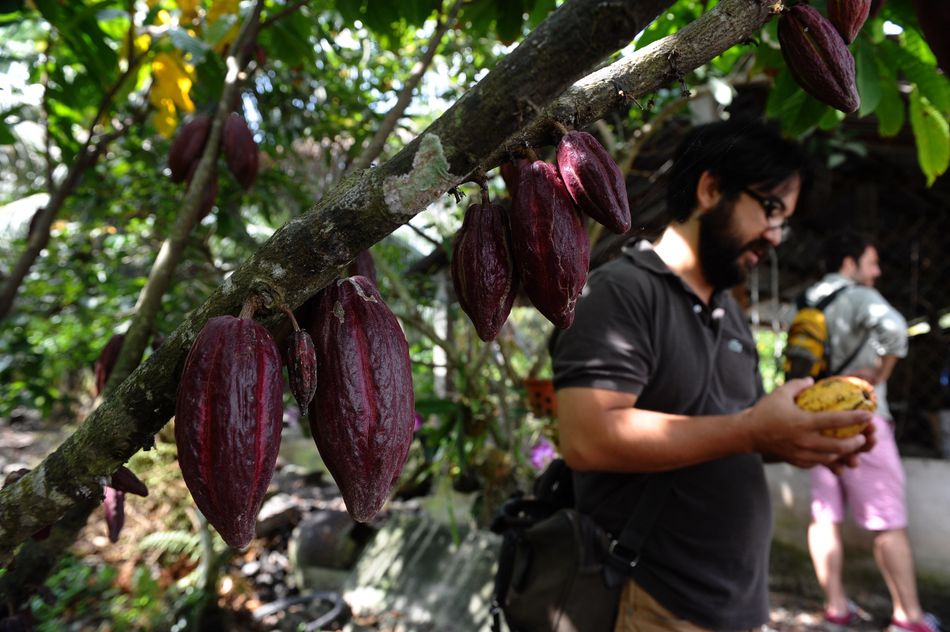 Vietnamese chocolate has been described as "unlike any other."&nbsp;Tourists with a sweet tooth can explore the offerings from Marou﻿ or Azzan, which both offer tours.