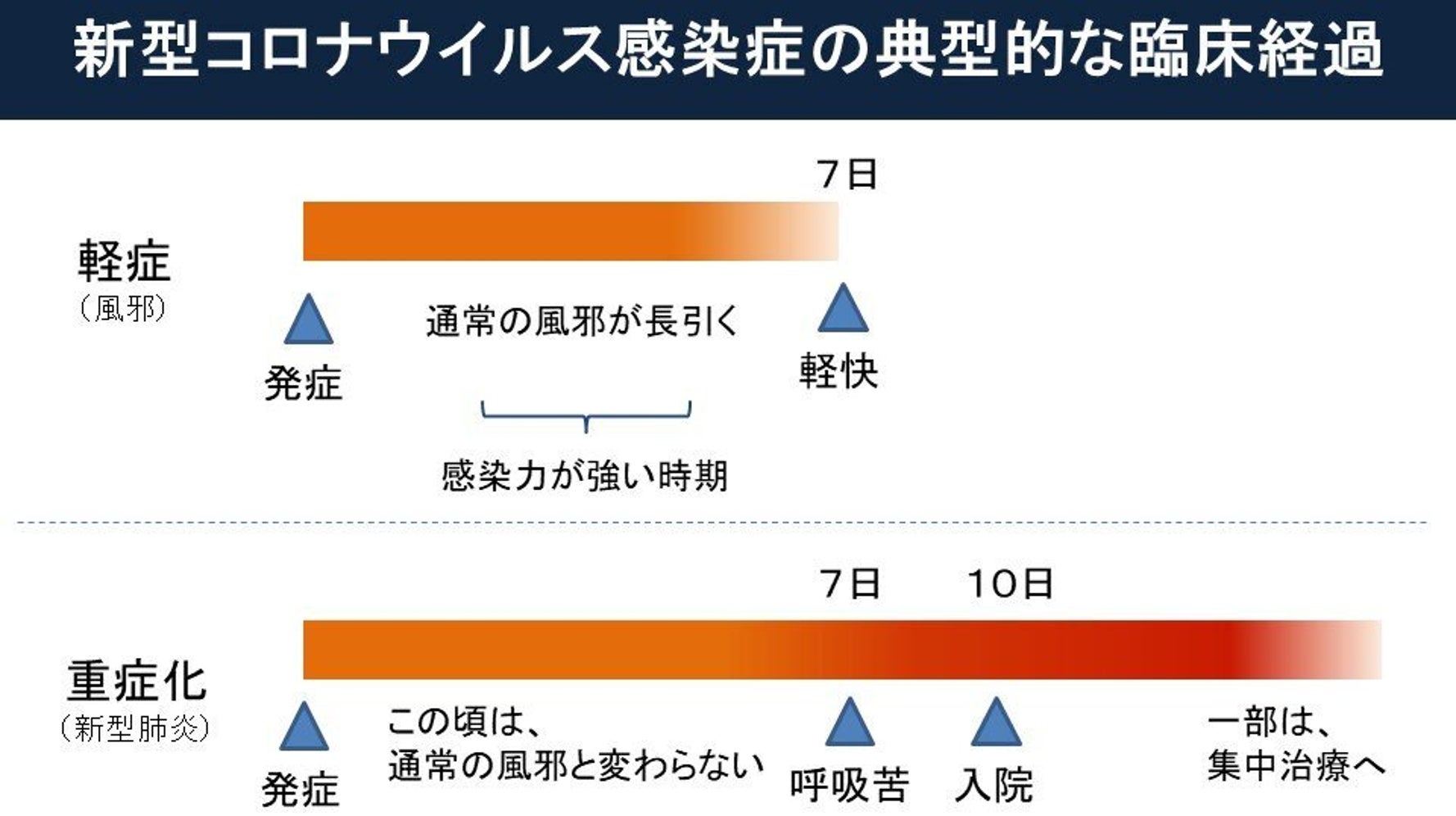 コロナ は 風邪