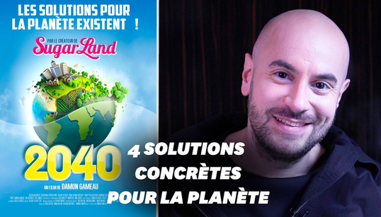 4 solutions contre le réchauffement climatique auxquelles on ne pense pas