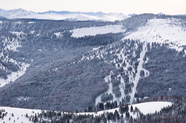 Vail Colorado Blue Sky Basin Ski Runs.