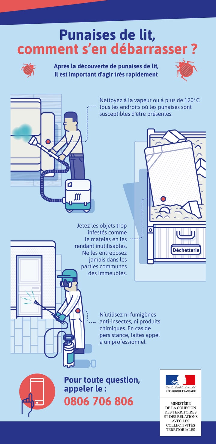 Contre Les Punaises De Lit Le Gouvernement Lance Une Campagne De Sensibilisation Le Huffington Post Life