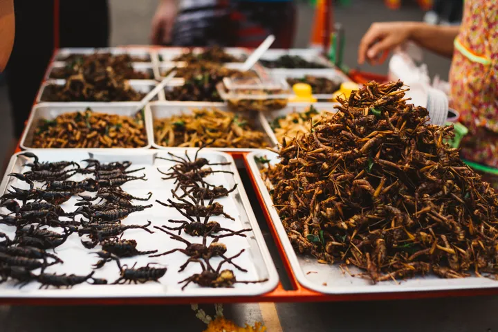 Pourquoi Les Insectes Ne Sont Ils Toujours Pas Dans Nos Assiettes Le Huffpost