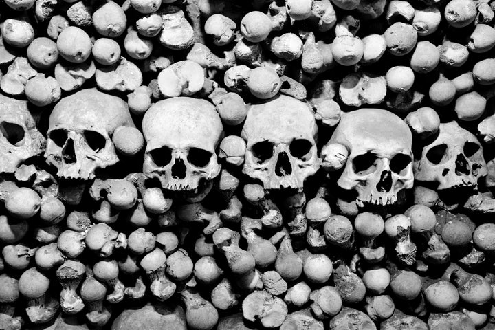 skulls and bones. black and...