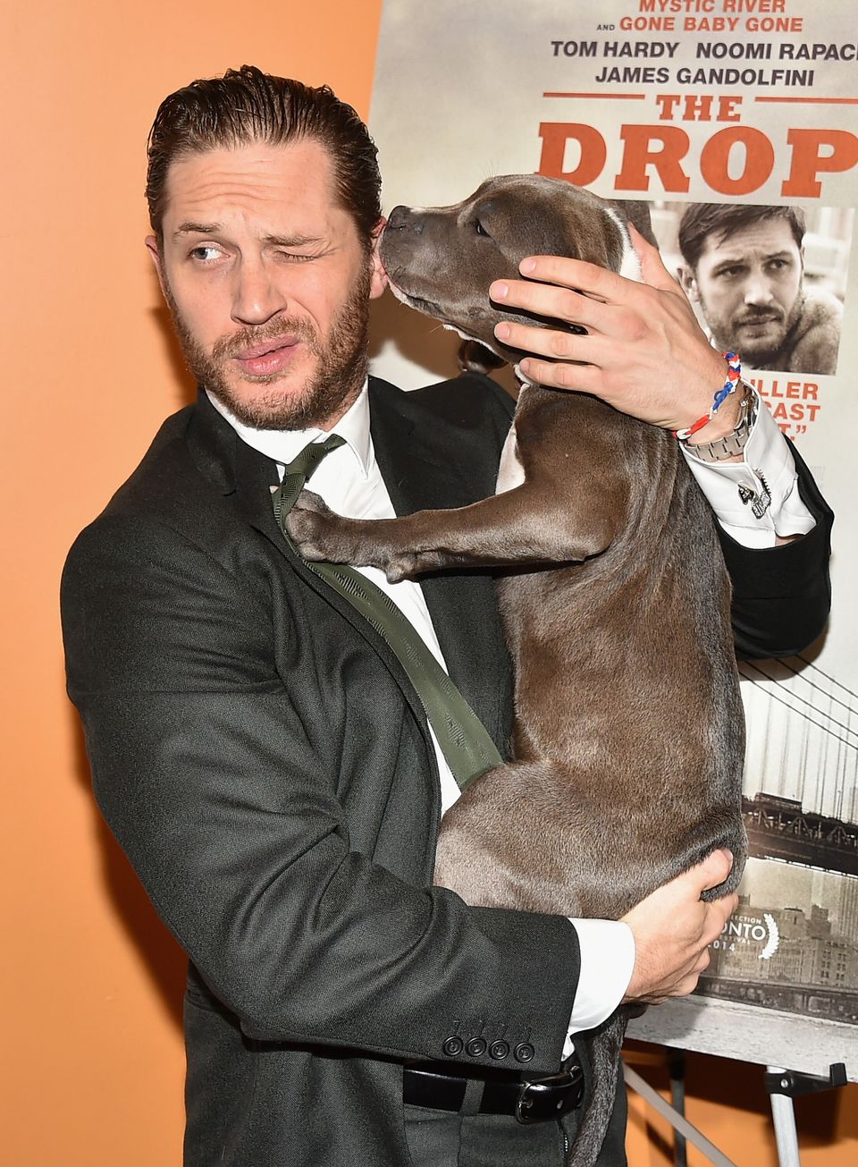10 Pictures Of Tom Hardy Playing With A Dog At The Premiere Of 'The Drop' |  HuffPost Entertainment