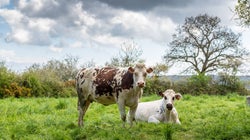 Le ministre de l’Agriculture annonce le maintien du budget de la PAC, son ministère
