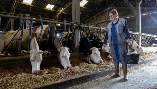 Pourquoi les agriculteurs se désengagent-ils de la vie